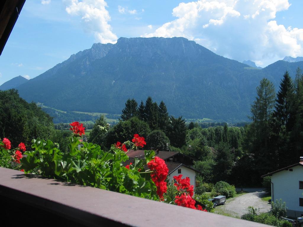 Pension Blauer Gamsbock Kiefersfelden Exteriör bild